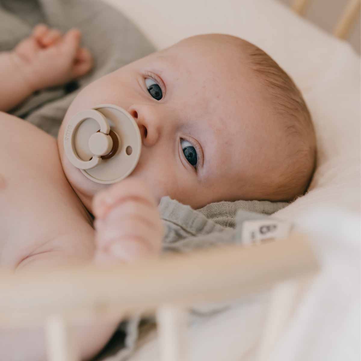 Chupetes Bibs Colour Blush/Vanilla