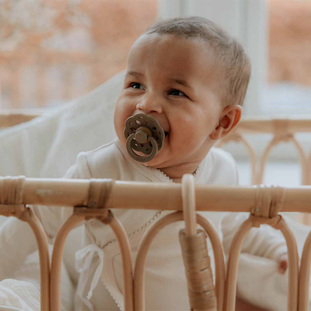 Chupetes Bibs Boheme Woodchuck/Blush