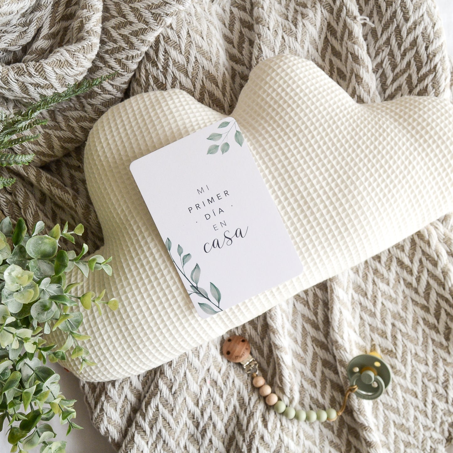Tarjetas Primer año - Botanic