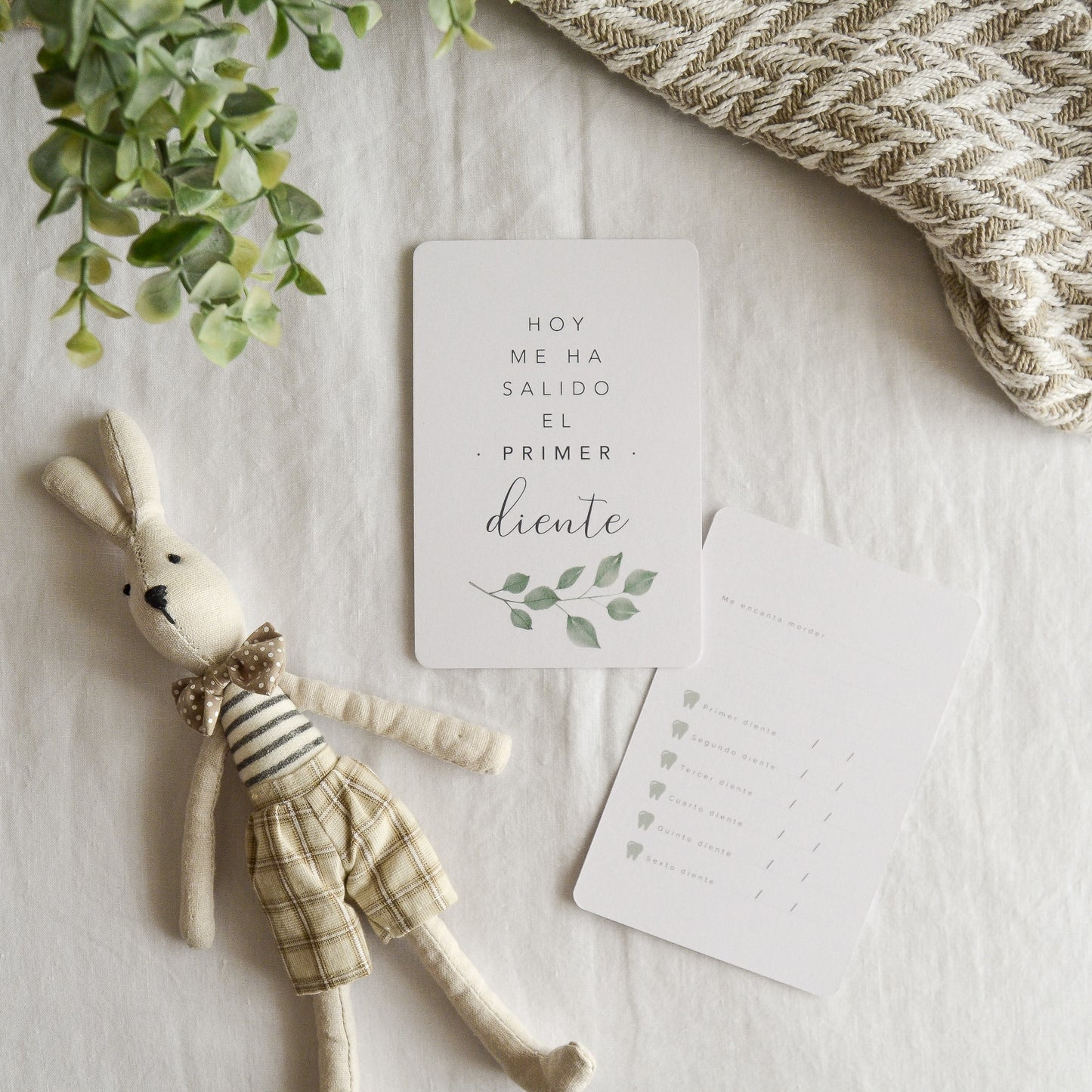 Tarjetas Primer año - Botanic