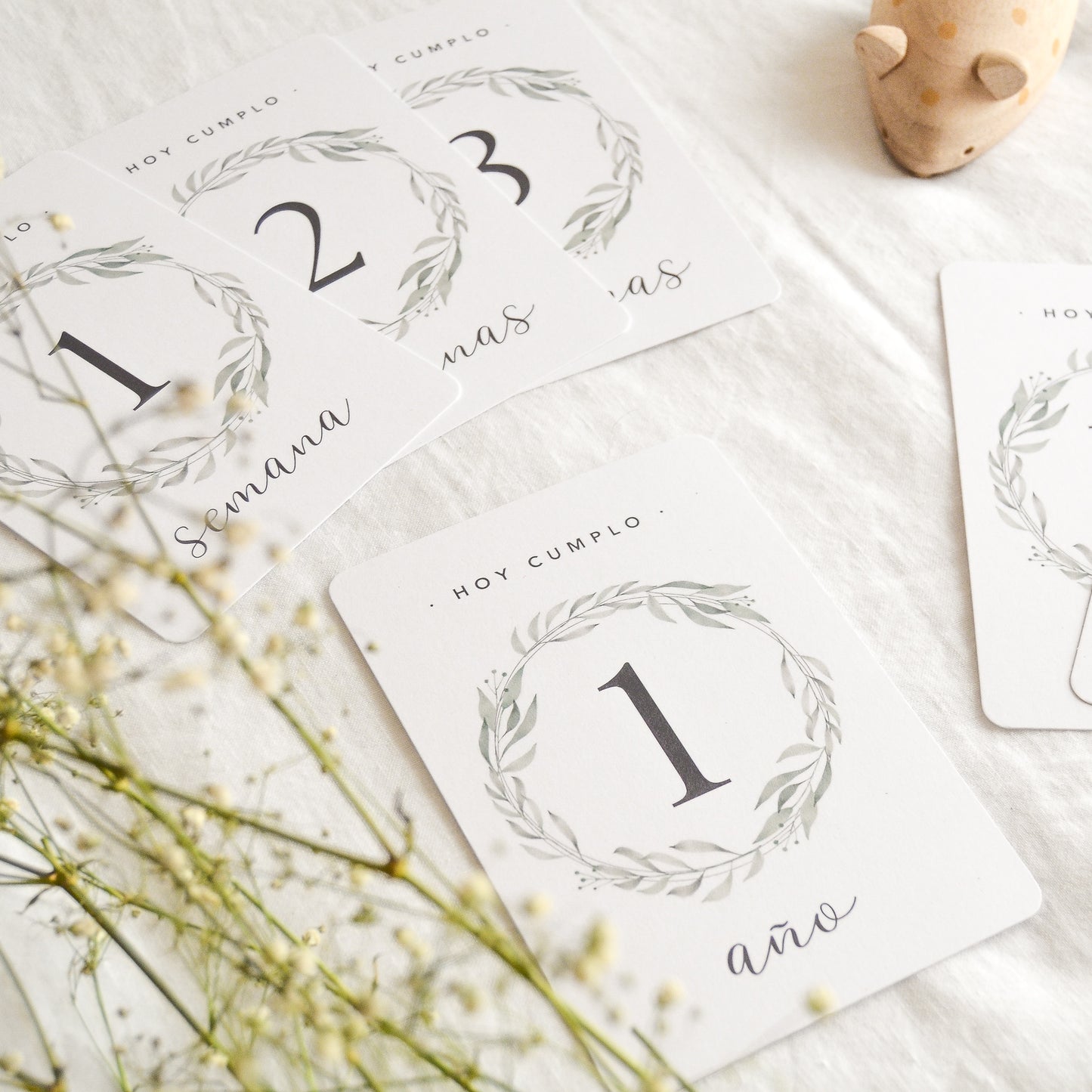 Tarjetas Primer año - Botanic