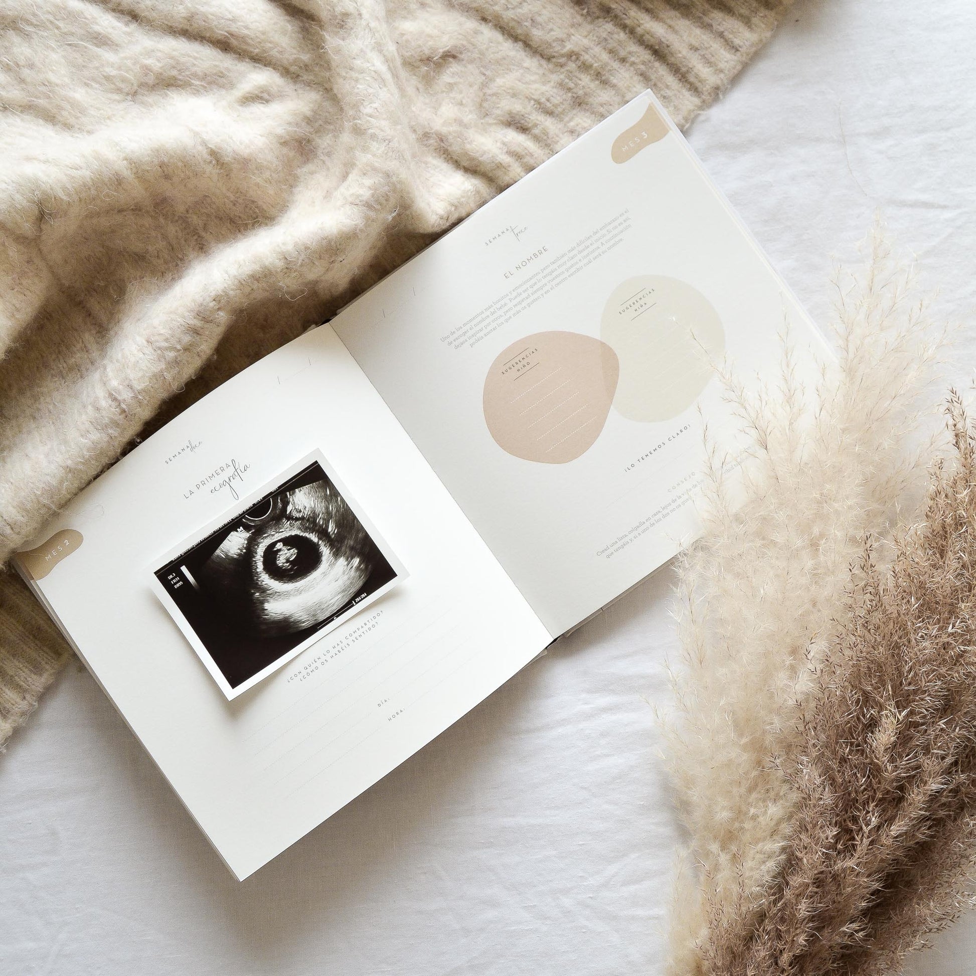 Mi Diario de Embarazo Semana a Semana (Interior en Color): Regalo para  Embarazadas - Registra la Gestación de tu Bebé durante 9 Meses (Ecografías